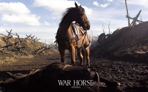 War Horse