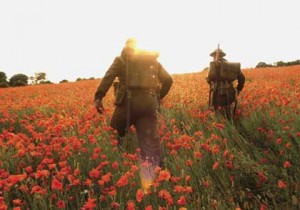 Poppy Fields