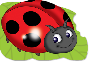 ladybird